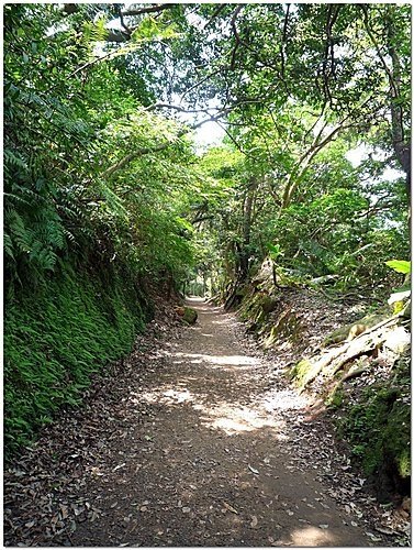 台北士林 天母古道水管路