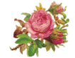 191.png