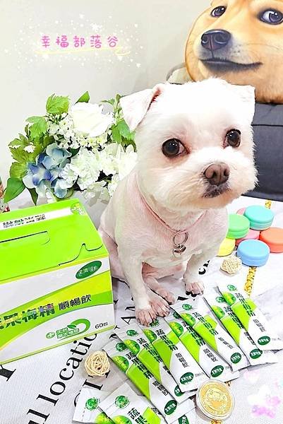 蔬果梅精