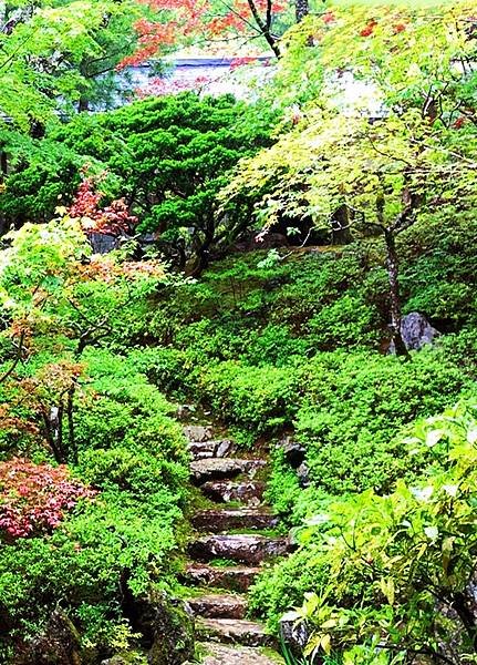 高野山宿坊   恵光院  蓮華定苑