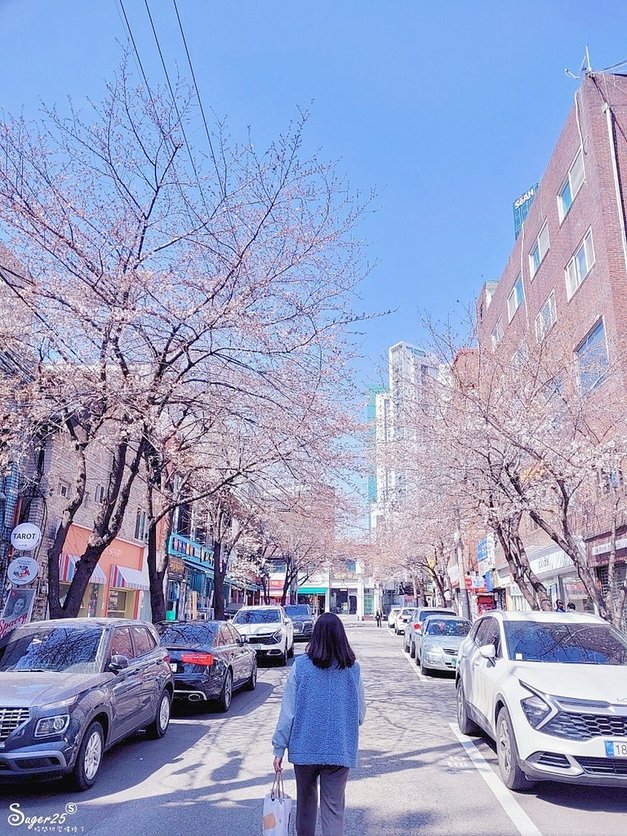 首爾Cafe Mignon咖啡廳23.jpg