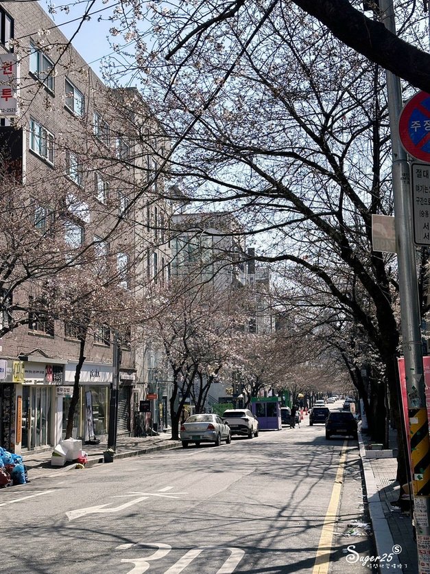 首爾Cafe Mignon咖啡廳32.jpg