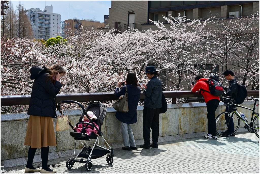 目黑川17.jpg