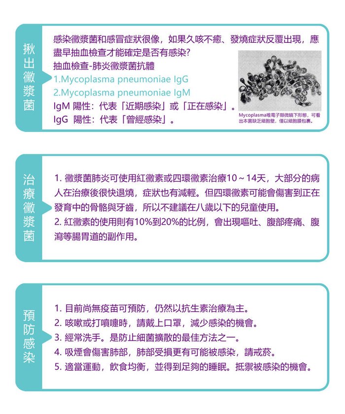 黴漿菌2.jpg