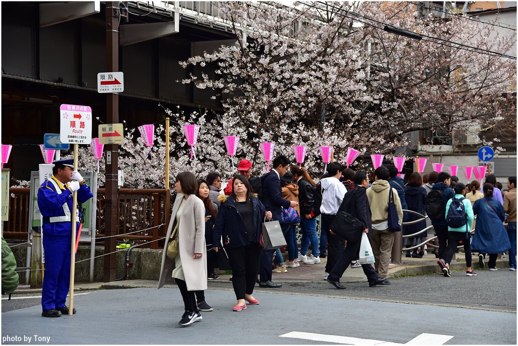 目黑川24.jpg