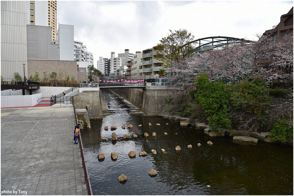 目黑川21.jpg