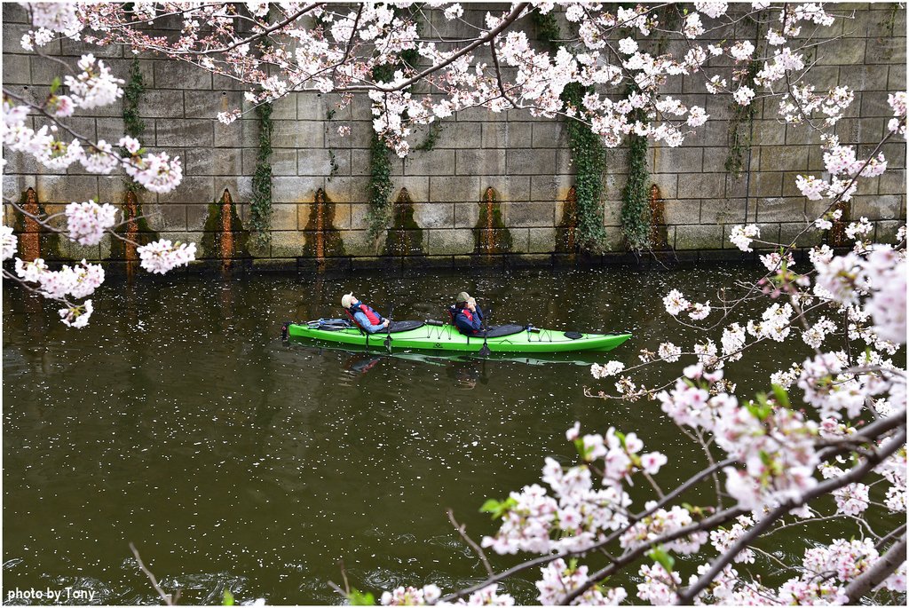 目黑川15.jpg