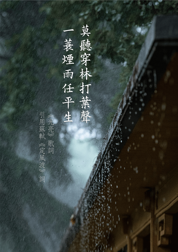 莫聽穿林打葉聲一蓑煙雨任平生.png