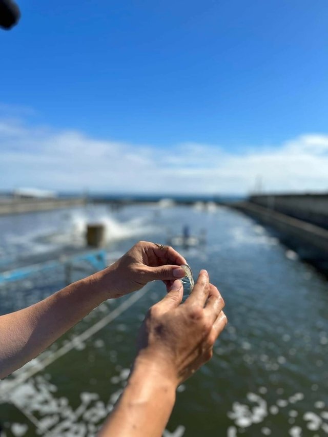500盤美食評鑑中山對酌35000起桌吃甚麼? 這次我們從美