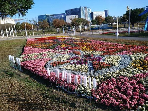 中央公園種植鮮豔的蒔花-歡迎各位市民朋友來中央公園走春_0