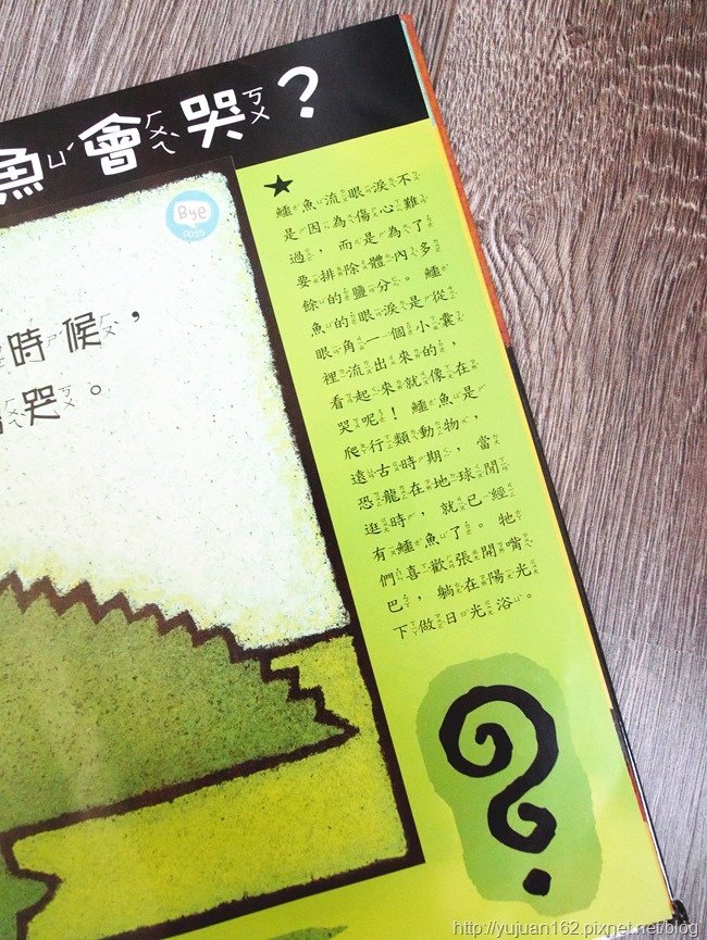 │兒童家具│書櫃無限加。愛兒館 我的第一座小書櫃+童書分享。歡樂小學堂給孩子一個喜歡閱讀的空間