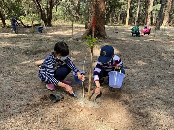 臺南市113年植樹節活動開放報名 黃偉哲市長邀請大家龍來植樹