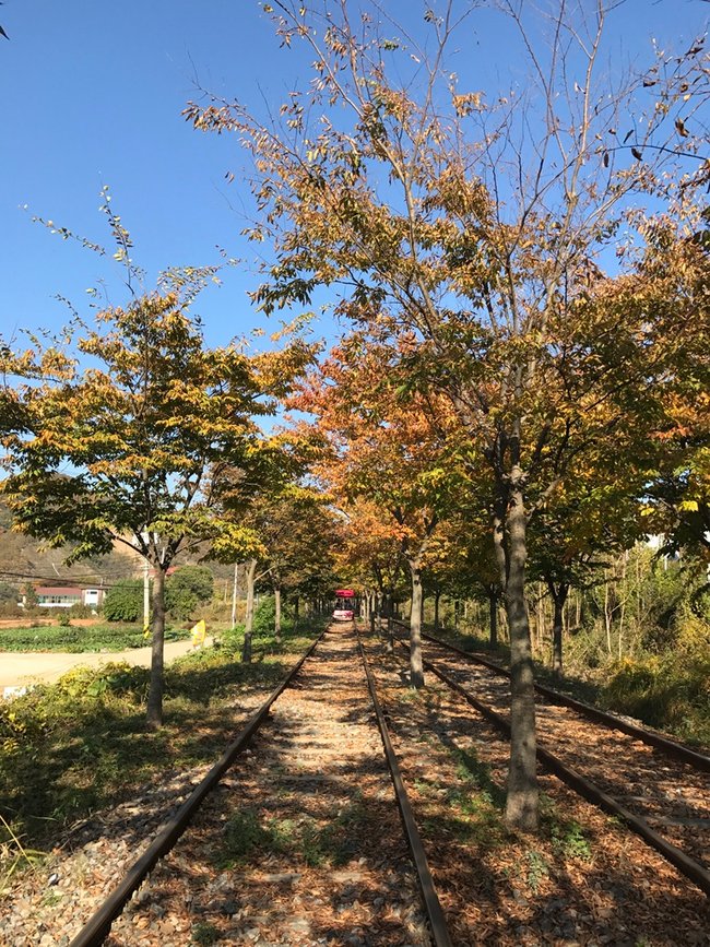 兩水頭-江村鐵路自行車 (40).jpg