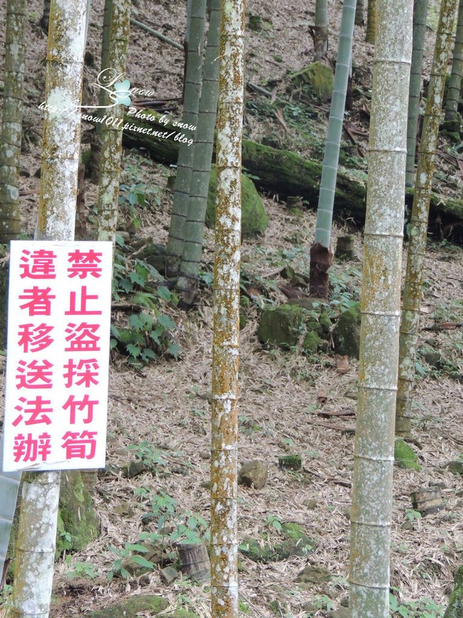沿途風景