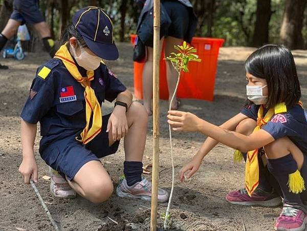 臺南市113年植樹節活動開放報名 黃偉哲市長邀請大家龍來植樹