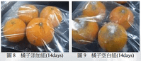 橘子對照.png