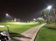 S__47054864.jpg