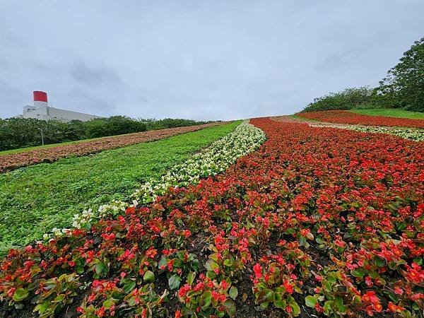 臺北市政府 蔣萬安市長、李四川、林奕華副市長、李泰興秘書長、