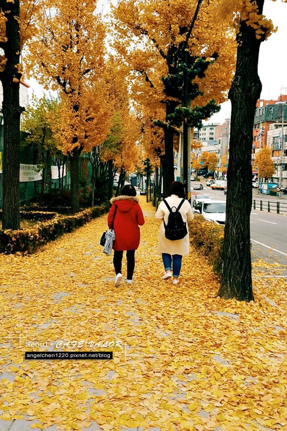 前往valor的路上.jpg