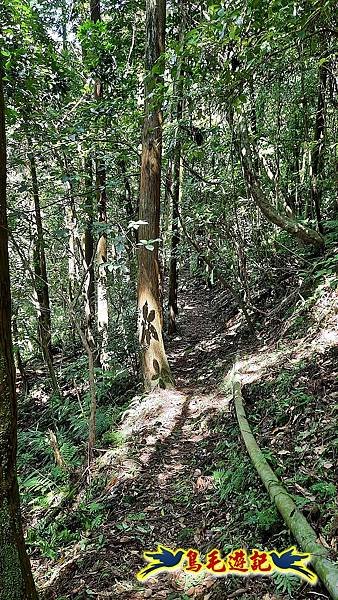 石門嶺古道-瑞泉溪畔古道-林市古道-富士古道縱走 (40).jpg