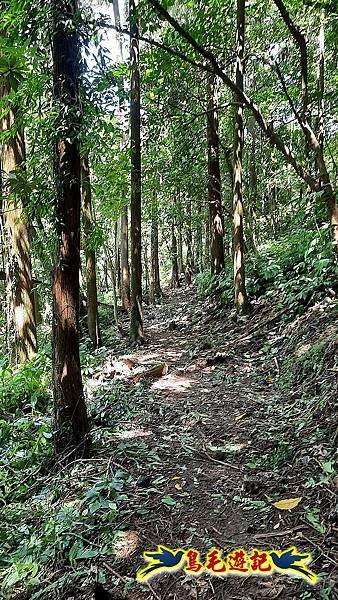 石門嶺古道-瑞泉溪畔古道-林市古道-富士古道縱走 (41).jpg