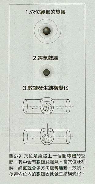 穴與經脈氣的選轉運動.jpg