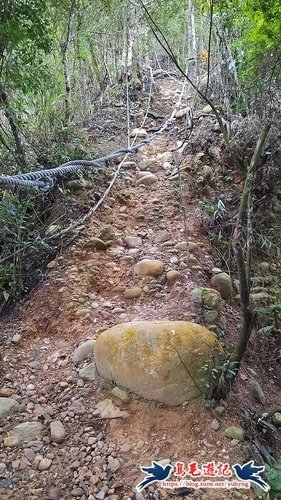 【三員縱走】三義火車站→三角山→長坑山→雙峰山→雙峰山北峰→