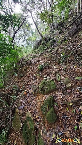 龜媽坑古道東線-大湖山-雪山尾稜-大湖越嶺古道(福隆-石城) (20).jpg