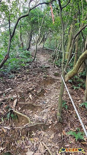 四腳亭車站-碇內承福宮-碇內尖-龍門山-粗坑頭崙-粗坑口步道．煤窯遺址O形 (15).jpg