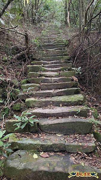 雪山尾稜北段連峰O形 (8).jpg