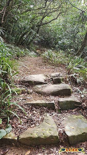 雪山尾稜北段連峰O形 (9).jpg
