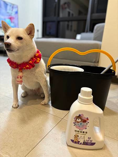 開箱｜真香！薰衣草味SunMuch熊潔淨 家有舔地狗OK！