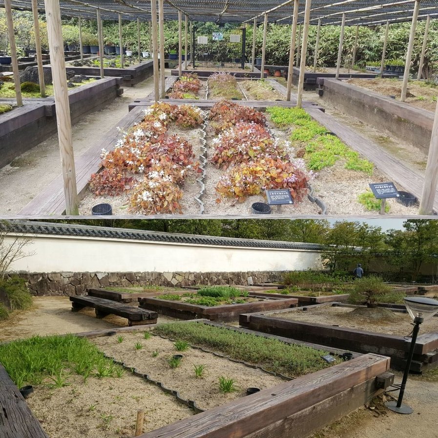 【兵庫】姬路城+好古園｜翩然起飛白鷺之城｜日本首批世界文化遺