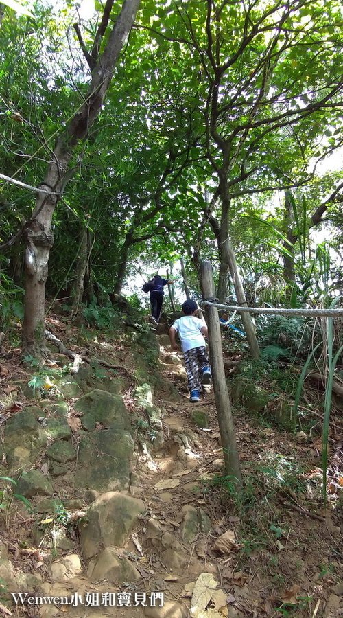 2020.08 新北微笑山線 親子登山步道  鶯歌石步道 (9).jpg