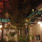 DSC00753.JPG