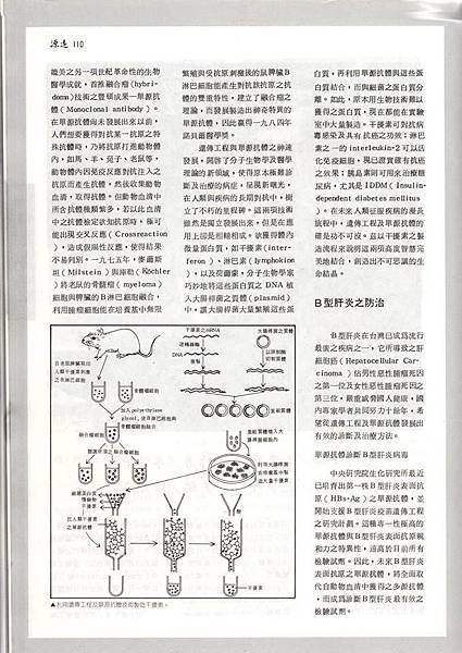 75年源遠2