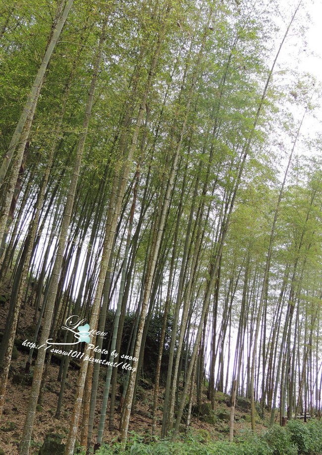 沿途風景