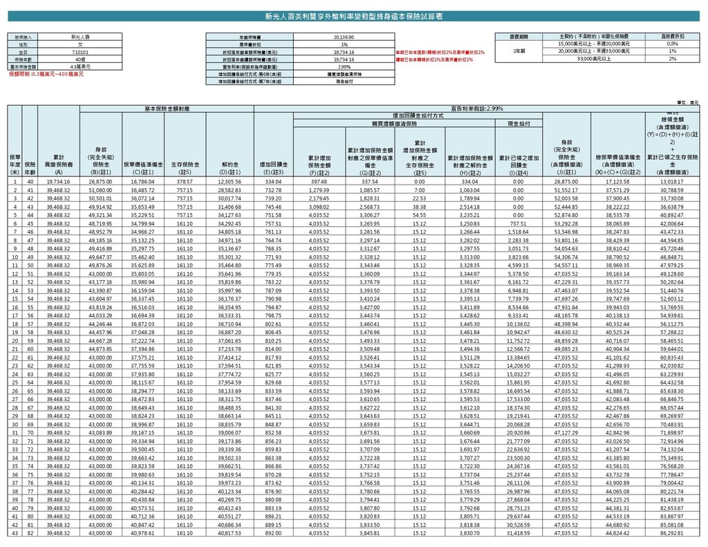 新光人壽美利雙享-繁_pages-to-jpg-0001.jpg