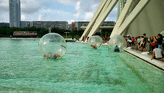 Ciudad de las Artes y las Ciencias4.png