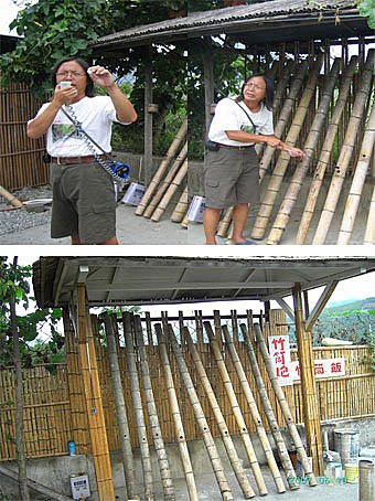 花東縱谷之旅 17