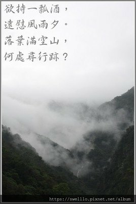 煮茶論道分享● 茶香、詩意與禪境