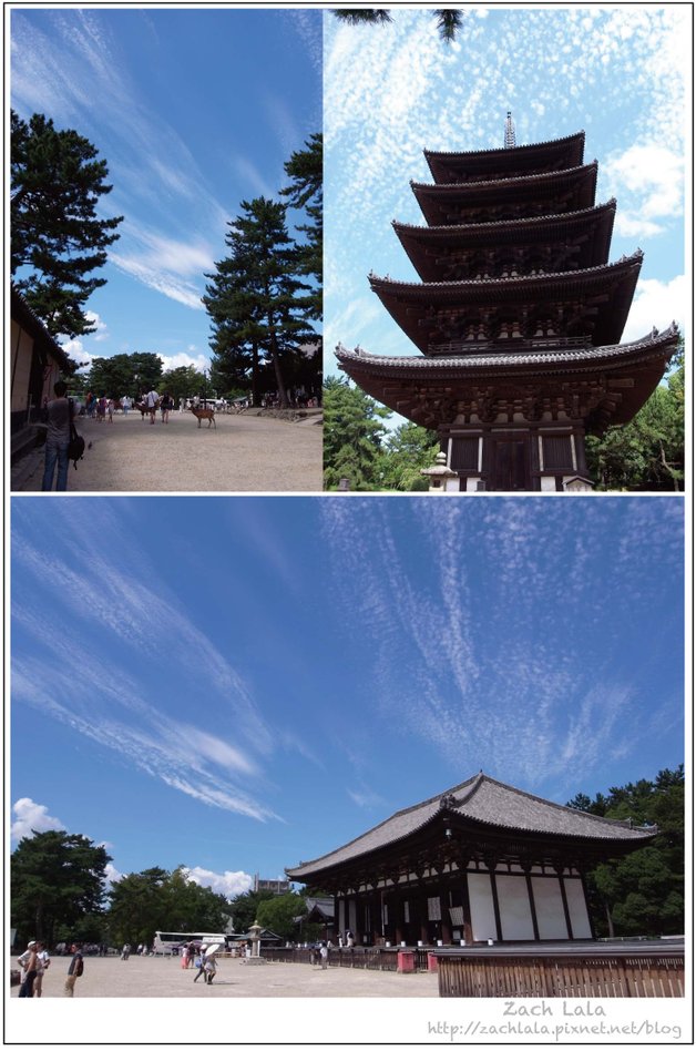 ZL-興福寺-01.jpg