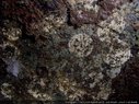 2015_05RIMG28075.jpg