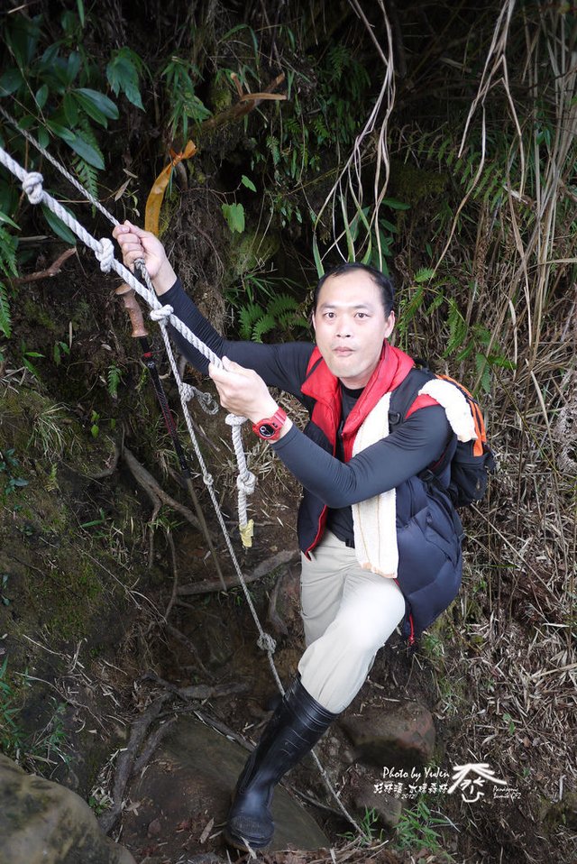 49水樣森林