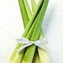 茭白筍.jpg