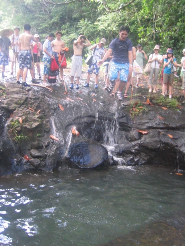 Ngardmau Waterfall 迪翁格拉迪野溪