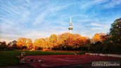 Luisenpark.jpg