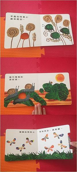 [洞洞書] 可愛的小蟲.JPG