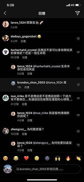 貓03.jpg