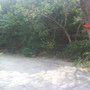 DSC01320.JPG